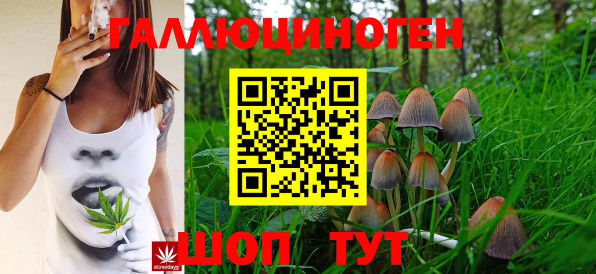 Россошь  Галлюциногенные грибы мицелий  магазин    Вход с VPN  Галлюциногенные грибы прущие грибы 